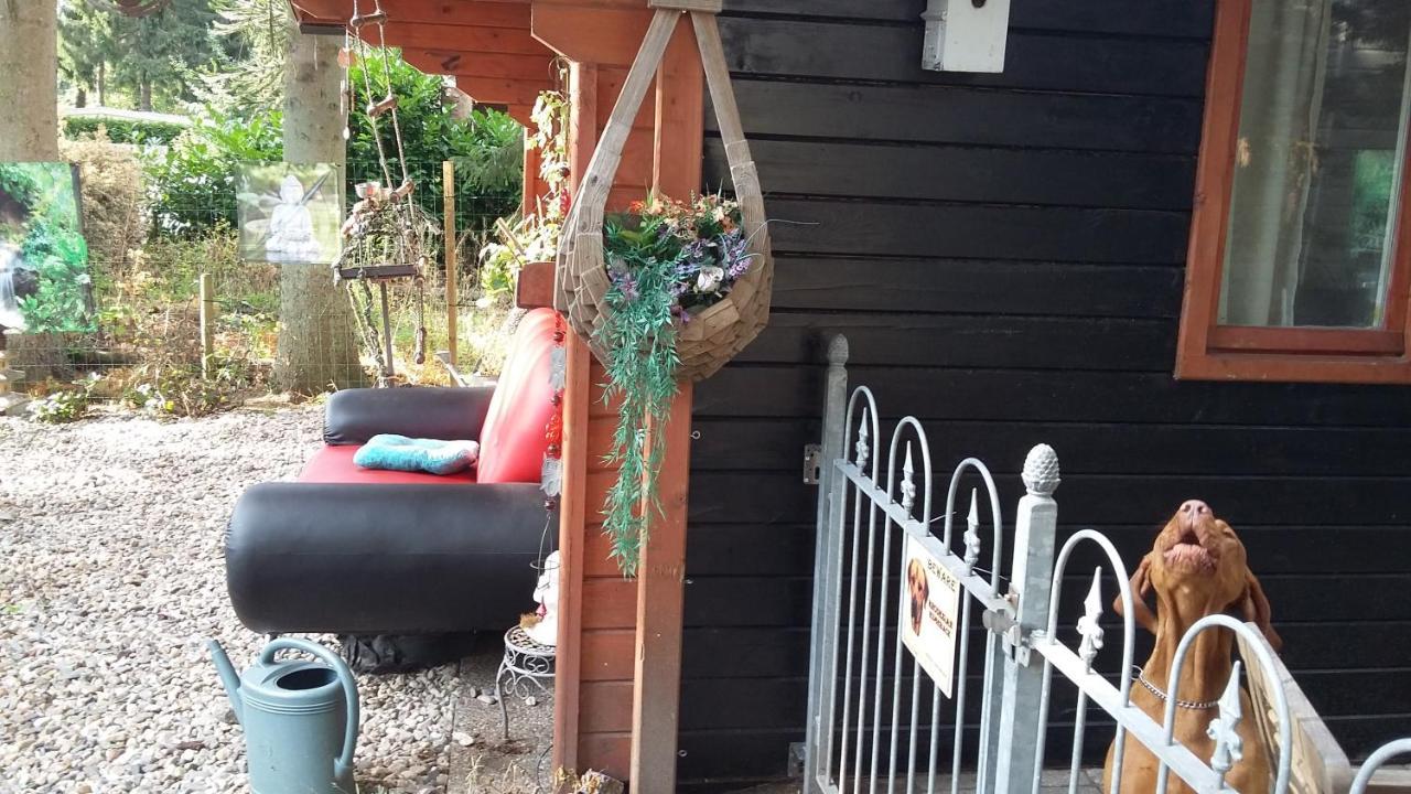 Chalet Op Een Rustig Park In De Natuur بوتِنْ المظهر الخارجي الصورة