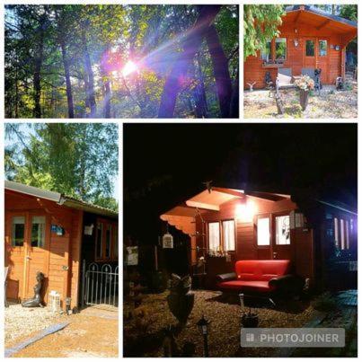 Chalet Op Een Rustig Park In De Natuur بوتِنْ المظهر الخارجي الصورة