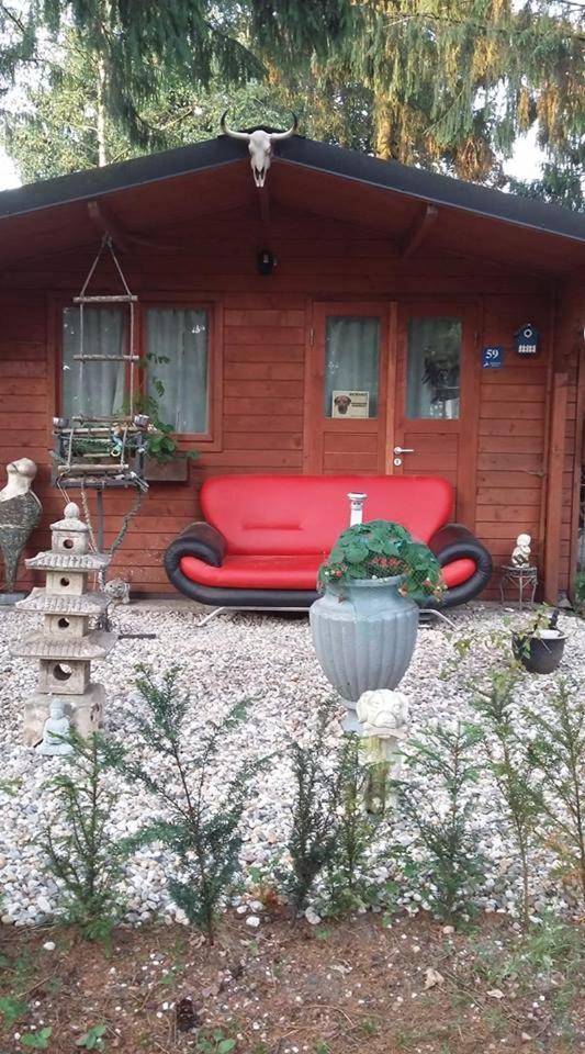 Chalet Op Een Rustig Park In De Natuur بوتِنْ المظهر الخارجي الصورة