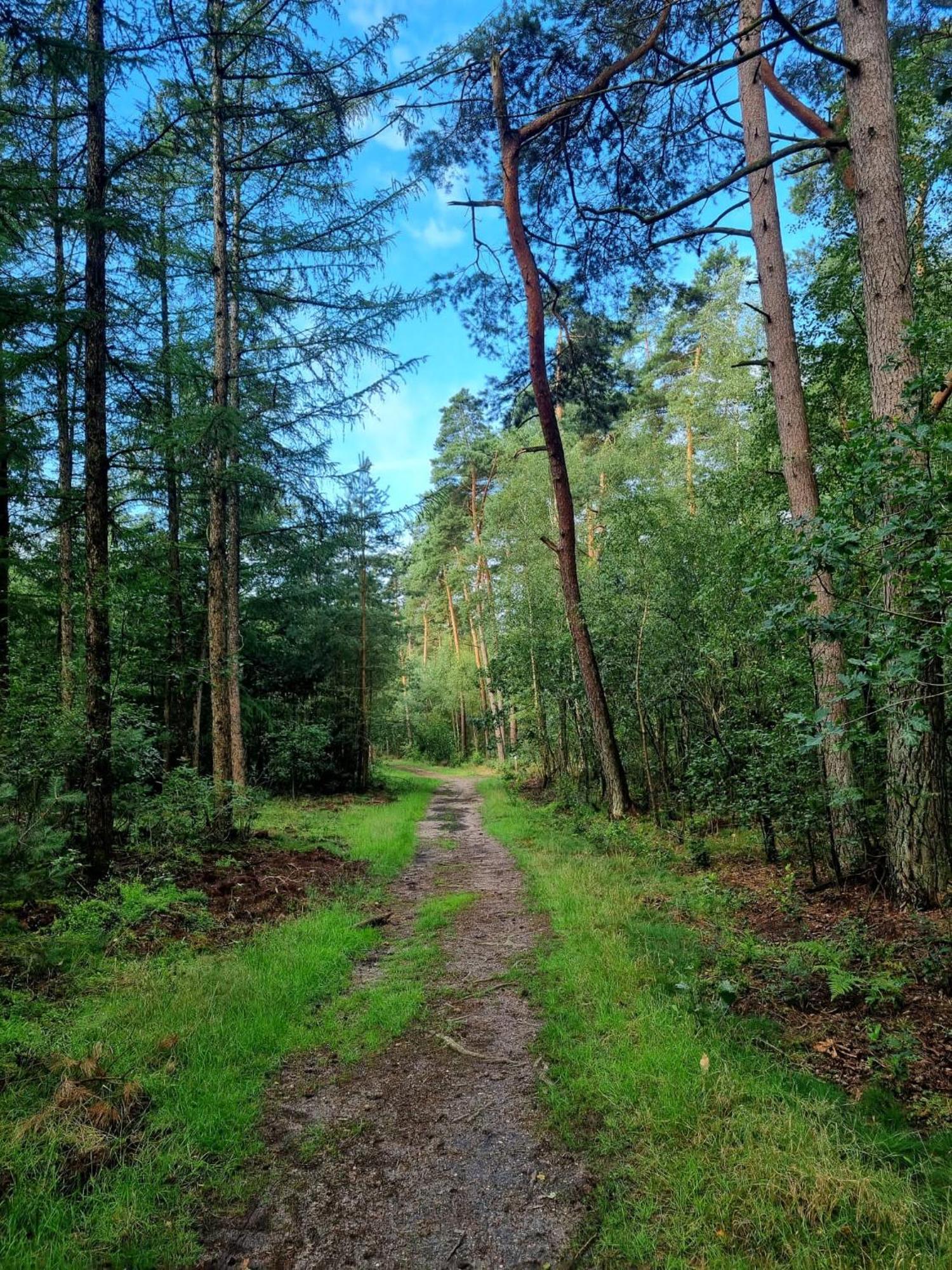 Chalet Op Een Rustig Park In De Natuur بوتِنْ المظهر الخارجي الصورة