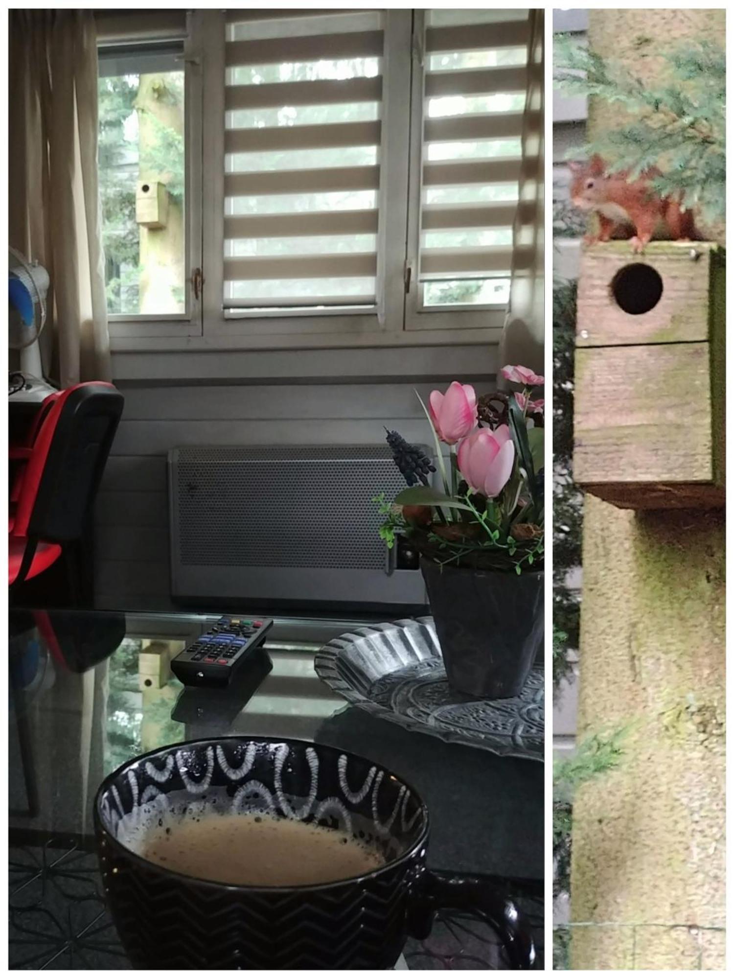 Chalet Op Een Rustig Park In De Natuur بوتِنْ المظهر الخارجي الصورة
