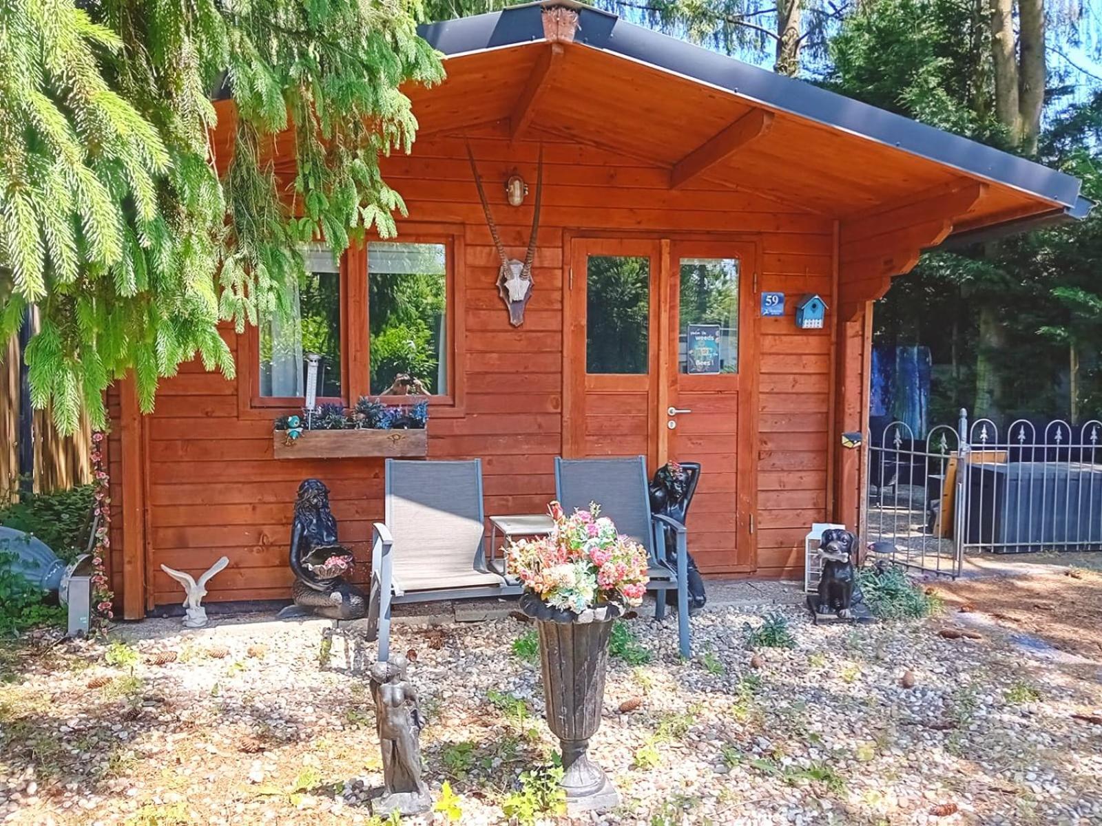 Chalet Op Een Rustig Park In De Natuur بوتِنْ المظهر الخارجي الصورة