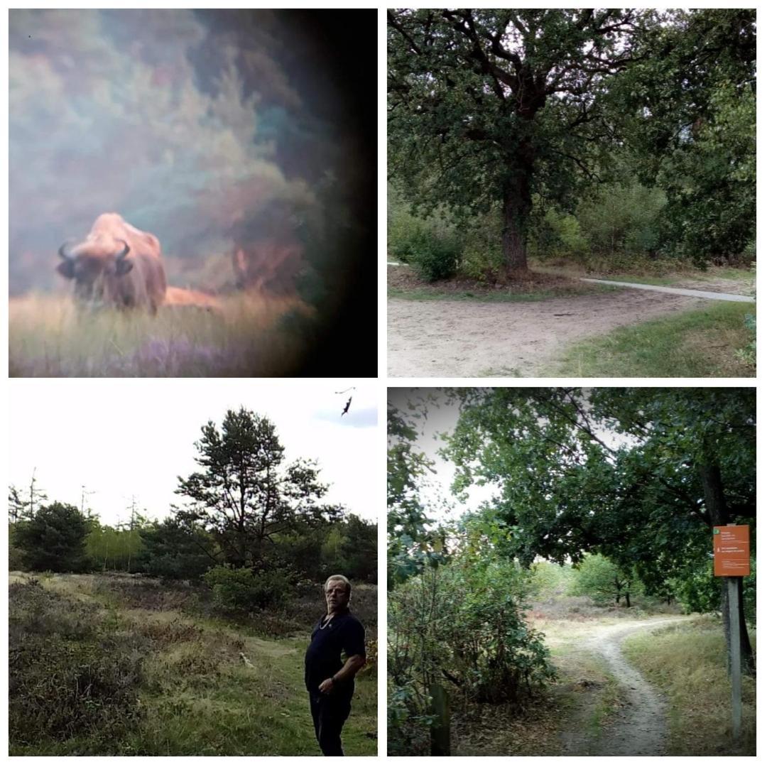 Chalet Op Een Rustig Park In De Natuur بوتِنْ المظهر الخارجي الصورة