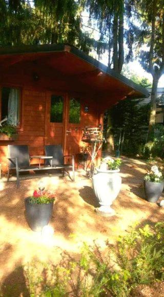 Chalet Op Een Rustig Park In De Natuur بوتِنْ المظهر الخارجي الصورة